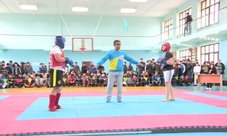 В Шымкенте прошел открытый чемпионат Казахстана по ушу-саньда