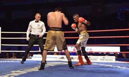 Укрощение волчьей стаи