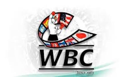 Казахстанцы в обновленном рейтинге WBC