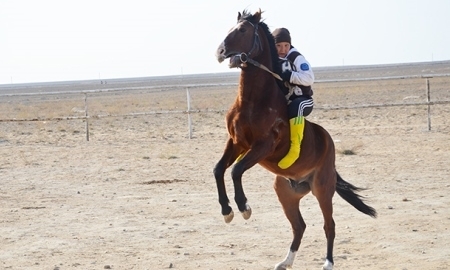 В Мангистауской области развивается конный спорт