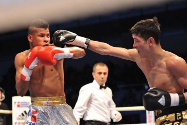 Укрощение волчьей стаи