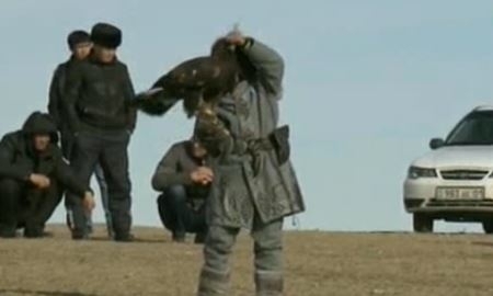 Чемпионат РК среди беркутчи прошел в Жамбылской области