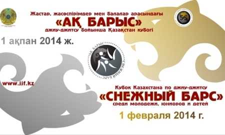 В Астане пройдет ежегодный Кубок Казахстана по джиу-джитсу «Снежный Барс»