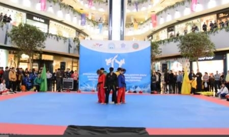 Видео показательных выступлений южнокорейских мастеров таеквондо в Астане