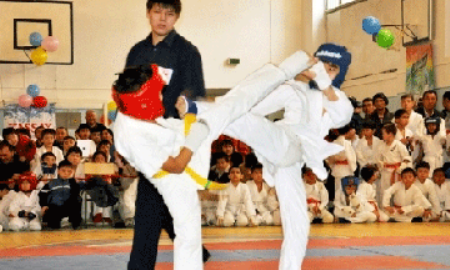 В Астане проходит турнир по кекушинкай-каратэ среди детей и юношей на Кубок СНГ