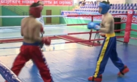 В Кызылорде стартовал чемпионат РК по кикбоксингу
