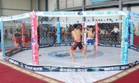 Кызылординцы заняли первое командное место в Кубке РК по жекпе-жек