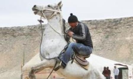 Казахстанцы впервые оседлают адайских скакунов на Всемирных конных играх