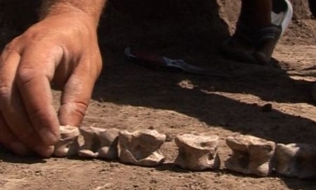 В Таразе массово провели день национальных игр 