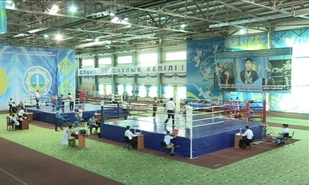 Чемпионат Казахстана по кикбоксингу проходит в Шымкенте