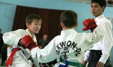 В Алматы пройдет республиканский турнир по таеквондо