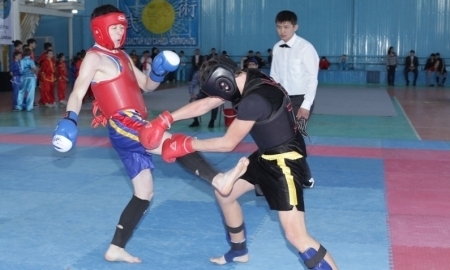 Шымкентцы завоевали пять золотых медалей на чемпионате Казахстана по ушу