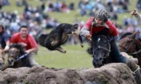 Казахстанские судьи изучили правила игр кочевников