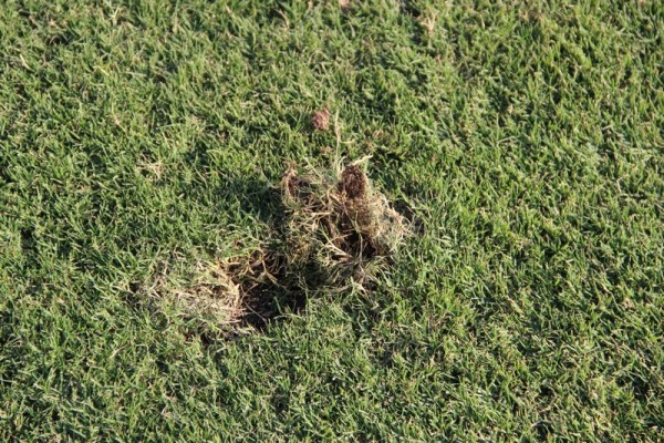 «Астана»: еще одна проверка на прочность