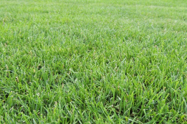 «Шахтер» — «Атлантас» — в преддверии битвы!