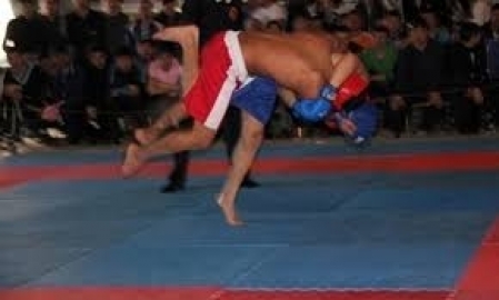 Спортсмены ЮКО с успехом выступили на международном турнире по смешанным единоборствам