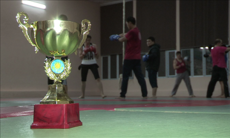 Южноказахстанцы завоевали Кубок Казахстана по ушу-саньда 