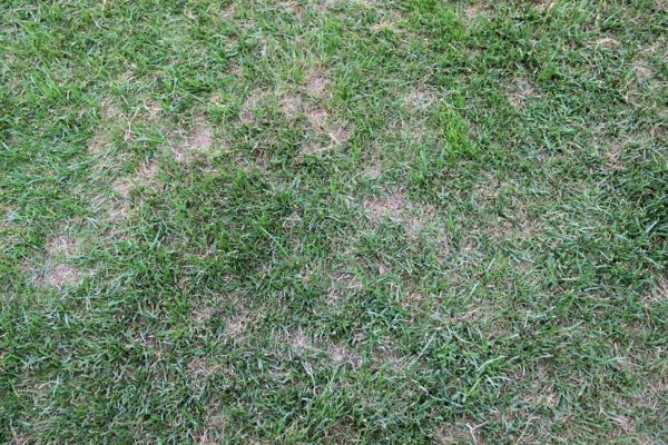 Еврокубковый четверг в Стокгольме