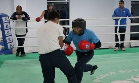 Курсы АИБА для боксеров проходят в академии бокса