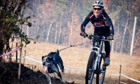 В Карагандинской области впервые прошли соревнования по байкджорингу