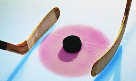 В Петропавловске открылся крытый хоккейный корт