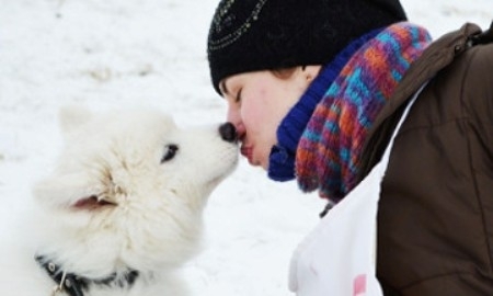 «Олимпийские игры» для собак прошли под Астаной