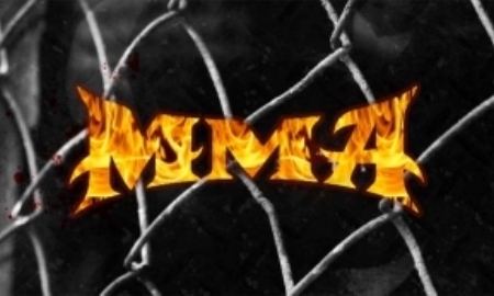 Казахстанские бойцы ММА достойно выступили на международном турнире в РФ