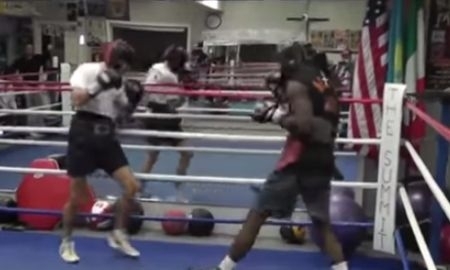 Видео спарринга Геннадия Головкина