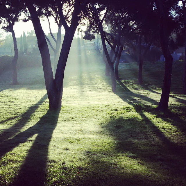 Ярослава Шведова: «Мадрид сейчас просто прекрасен»