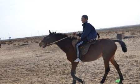 Управление физкультуры и спорта Мангистау планирует обзавестись собственным ипподромом