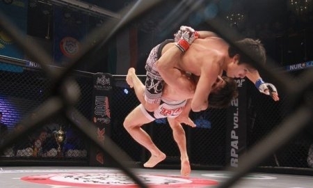 Результаты международного турнира по ММА «RPAP vol.2»