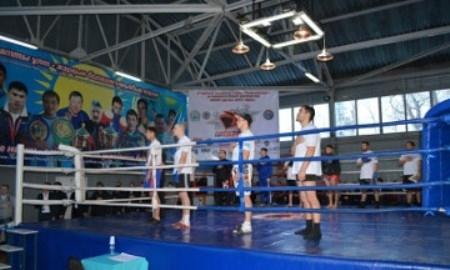 В Петропавловске прошел первый открытый чемпионат города по смешанному единоборству