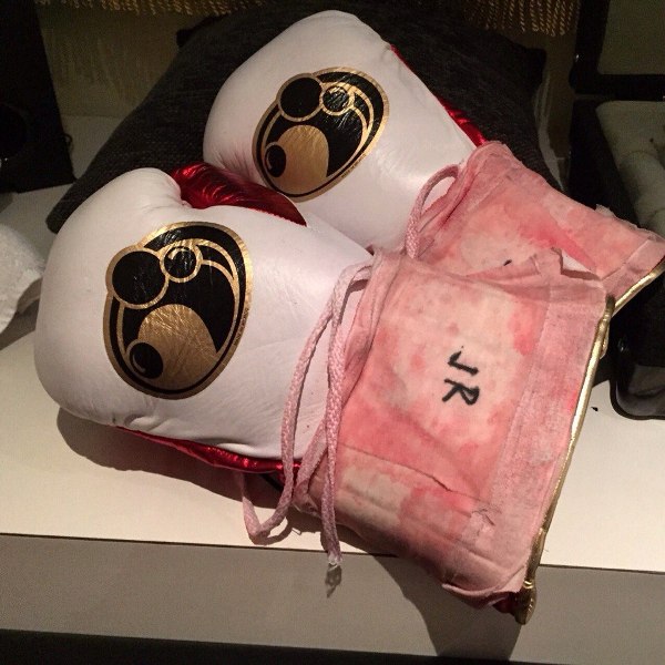 Перчатки Головкина до и после боя с Мюрреем