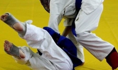 Воспитанники федерации джиу-джитсу Астаны завоевали 9 медалей на чемпионате Евразии в РФ