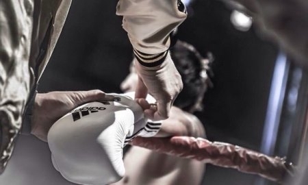 Состав пар на финал WSB