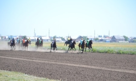 В Акмолинской области прошли скачки, посвященные Дню столицы