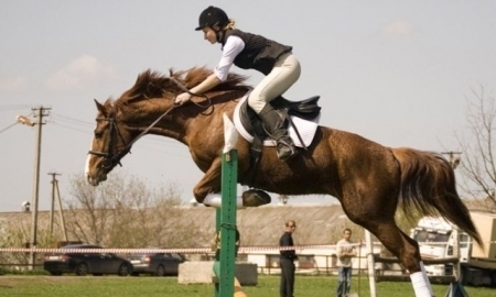 В Алматинской области готовятся к IV спартакиаде по конному спорту