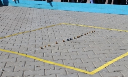 В Кызылорде становится модным спортивное развлечение — асык-party