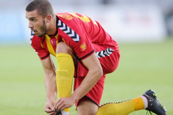 Хижниченко, Бейсебеков и Красножан: взгляд из Европы