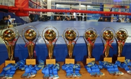 «Кубок сильнейших» завоевали два кикбоксера из Петропавловска