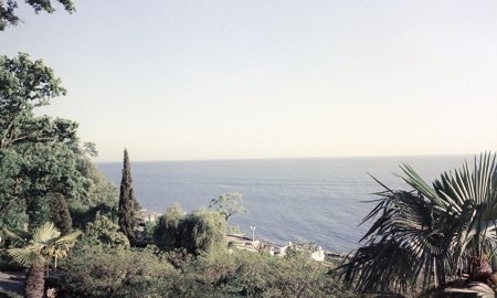 Инструкторы по боевому айкидо из РК выступят на международном турнире в РФ