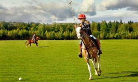 В Таразе на торжествах к 550-летию Казахского ханства проведут матч по конному поло