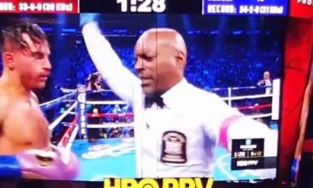 Видео нокаута боя Геннадий Головкин — Давид Лемье