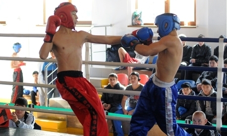 В Таразе завершился международный турнир по кикбоксингу