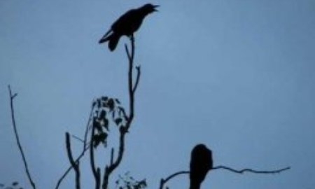 Вслед за Головкиным Стивенс «похоронил» и Юбенка 