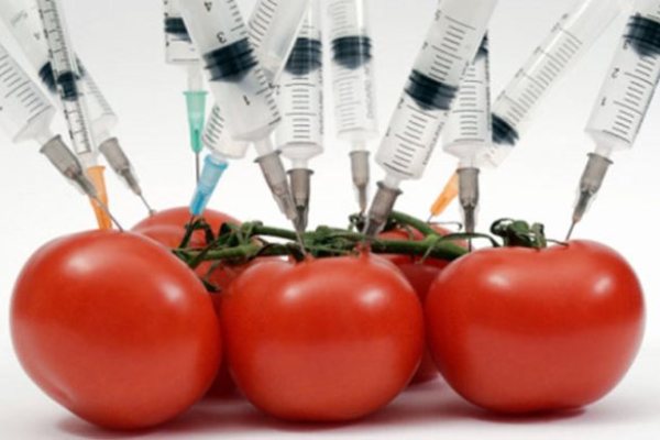 «Приятного аппетита!». Превью к бою Головкин — Лемье