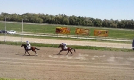 Алматинский ипподром реконструируют в 2016 году