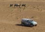 Казахстанский экипаж пришел первым на II спецучастке «Africa Eco Race — 2016»