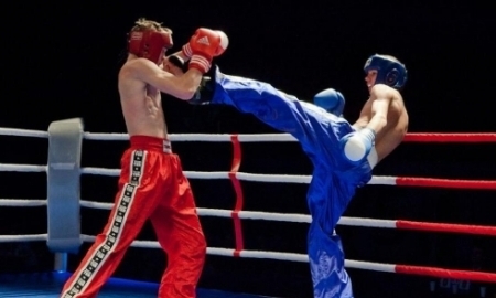 В Караганде пройдут профессиональные бои по кикбоксингу