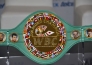 Потенциальный соперник Головкина — Сауль Альварес получил титул WBC в среднем весе